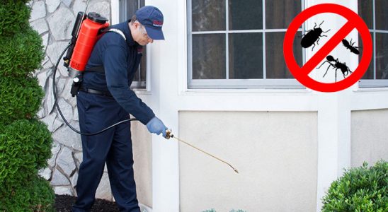 19 Mayıs Fare İlaçlama böcek ilaçlama ve haşere kontrolü — ilaclama-tr.com
